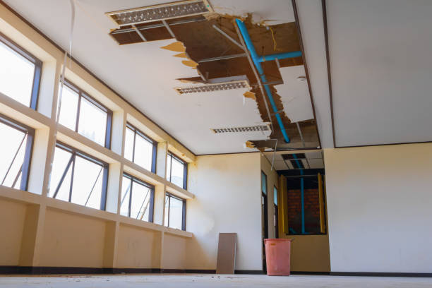 Best Professional water damage repair  in Palmyra, IN