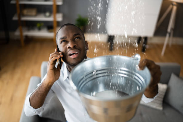 Best Basement water damage restoration  in Palmyra, IN