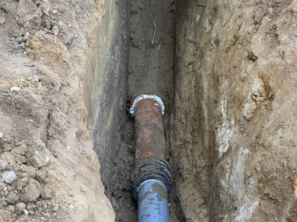 Best Flood restoration services  in Palmyra, IN