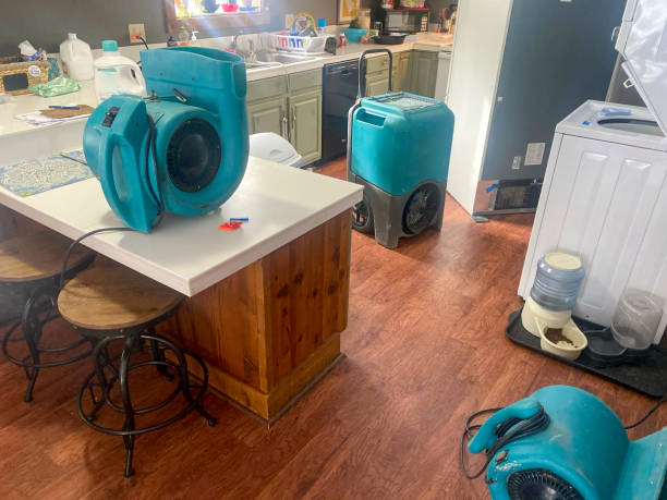 Best Residential water damage restoration  in Palmyra, IN