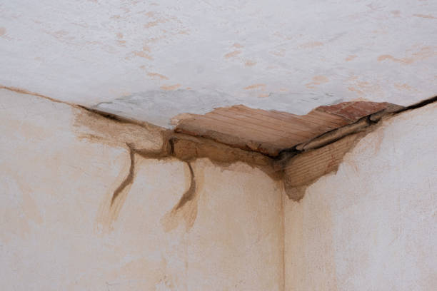 Best 24-hour water damage restoration  in Palmyra, IN