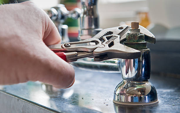 Best Water damage restoration near me  in Palmyra, IN