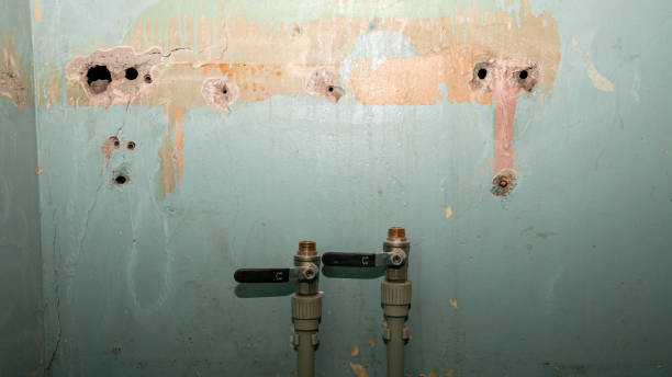 Water damage restoration experts in IN