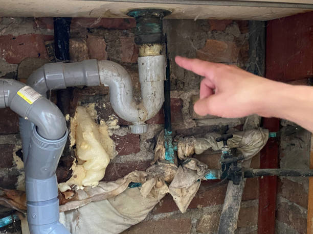 Best Flooded house restoration  in Palmyra, IN