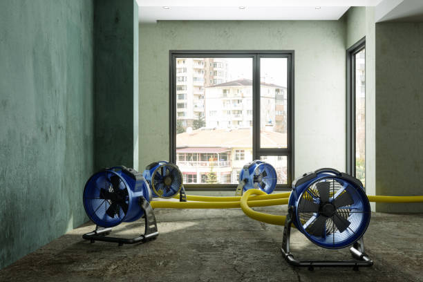 Best Water damage restoration near me  in Palmyra, IN